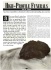 Director Magazine Article